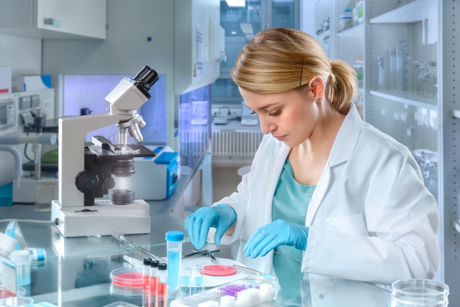 Forscherin untersucht den Inhalt einer Petrischale im Labor