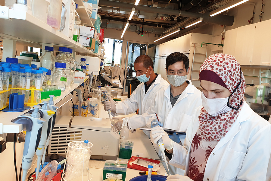 Zwei Forscher und eine Forscherin arbeiten gemeinsam im Labor. Alle tragen einen Mundschutz. 
