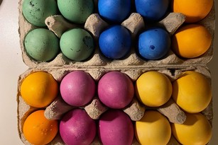 gefärbte Eier in Eierkarton