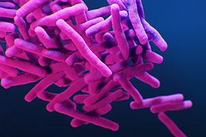 Tuberkulose-­Bakterien unter dem Elektronenmikroskop