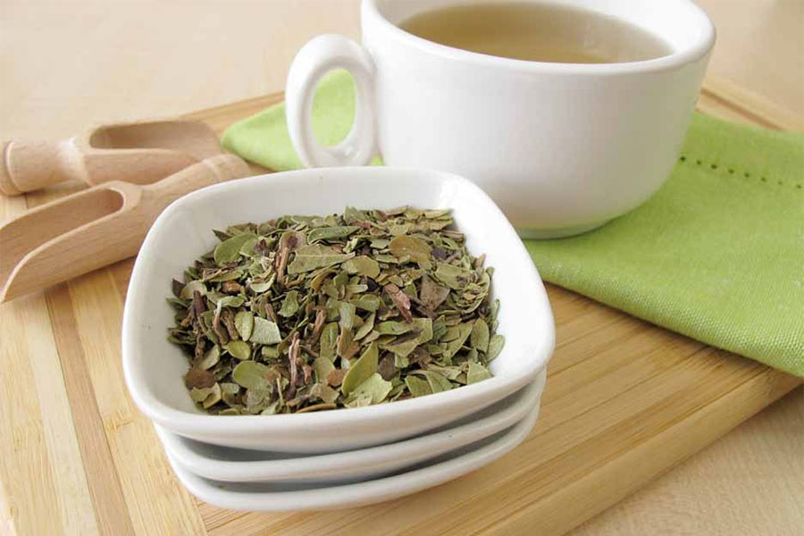 Teetasse und Schälchen mit Bärentraubenblättern