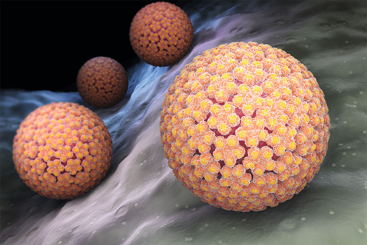Humane Papillomviren sind weit verbreitet. Einige Subtypen können Krebs verursachen, besonders häufig Gebärmutterhalskrebs.