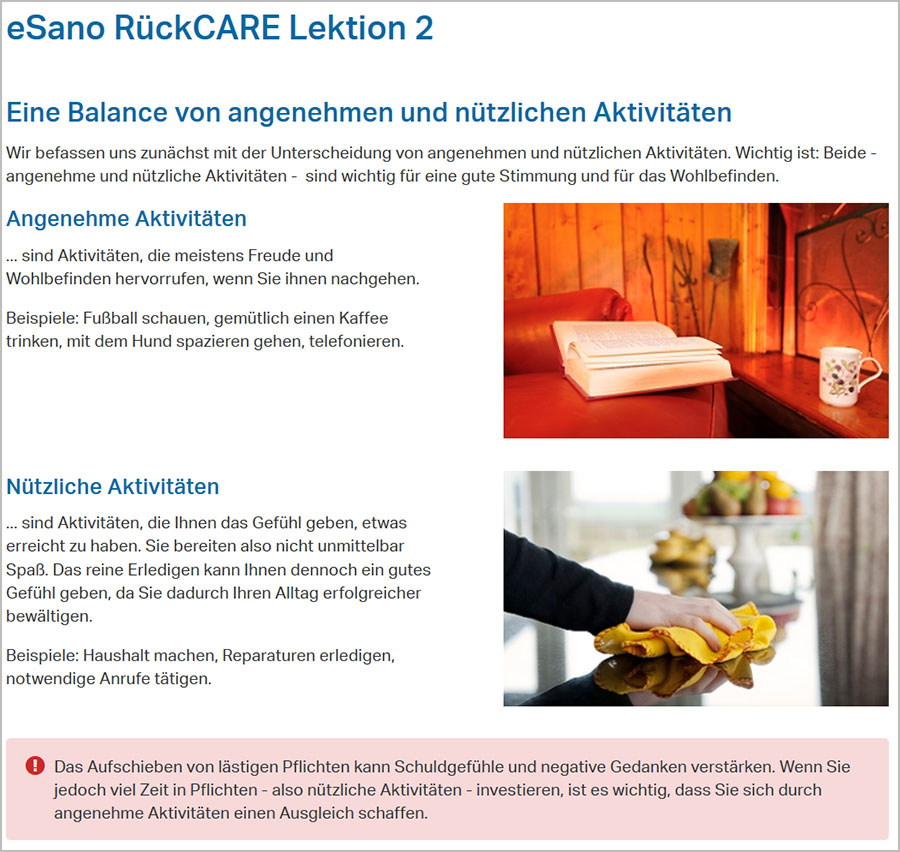 Screenshot vom online-Programm eSano RückCARE