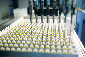 Ein Automat füllt Proben in mehrere hundert kleine Reaktionsgefäße