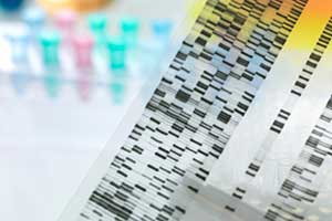 Die Entschlüsselung unseres genetischen Codes kann individualisierte Therapien ermöglichen.