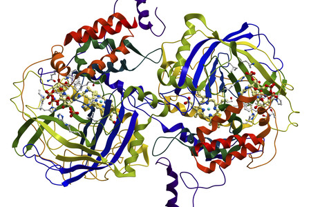 Dreidimensionale Darstellung einer Proteinstruktur