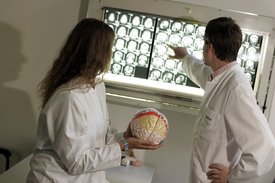 Ärztin und Arzt schauen sich Computertomografische Bilder des Gehirns an.
