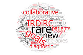 Logo "IRDiRC Goals 2017-2027"