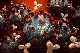 Mo­no­klo­na­le An­ti­kör­per und SARS-CoV-2-Virus