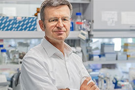 Prof. Stefan Engelhardt 