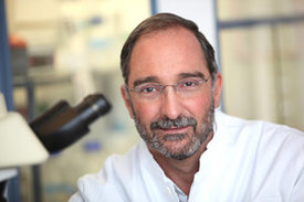 Carlos A. Guzmán leitet die Abteilung „Vakzinologie und angewandte Mikrobiologie“ am Helmholtz-Zentrum für Infektionsforschung (HZI) in Braunschweig