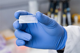 Test-Plättchen, mit dessen Hilfe schnell und zuverlässig Antikörper gegen verschiedene Erreger im Blut von Probanden erkannt werden kann