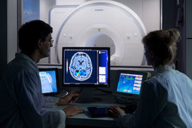 Zwei Forscher sehen sich das MRT-Bild am Computer an.