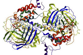 Dreidimensionale Darstellung einer Proteinstruktur