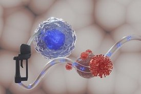 Illustration - Wenn T-Zellen (blau-weiße Kugel) Energie in Form von Ketonkörpern (blau) tanken, können sie schlagkräftiger gegen Viren vorgehen.