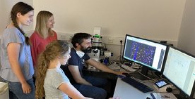 Analyse der Gehirnschnitte am Mikroskop: Anna-Sophia Hartke, Prof. Dr. Franziska Richter Assencio, Cara Schreiber und Christopher Käufer, PhD (vlnr).