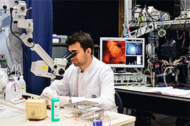 Die 2-Photonen-Fluoreszenzmikroskopie ermöglicht es Forscherinnen und Forschern, den Nervenzellen im lebenden Gehirn bei der Verarbeitung von Informationen zuzusehen.