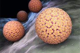 Humane Papillomviren sind weit verbreitet. Einige Subtypen können Krebs verursachen, besonders häufig Gebärmutterhalskrebs.