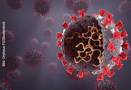 Potenzielle Wirkstoffe gegen SARS-CoV-2 könnten nicht nur Virenproteine wie das Spike-Protein (rot) angreifen, sondern auch direkt das RNA-Erbgut des Virus (gelb, im Virusinnern). 