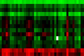 Jeder farbige Punkt gibt Auskunft über die Intensität der epigenetischen Markierung bestimmter Erbanlagen – der sogenannten Methylierung. 