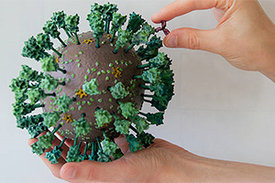 Das 3D-Modell des neuen Coronavirus SARS-CoV-2 und eines Antikörpers, 1.000.000-fach vergrößert.